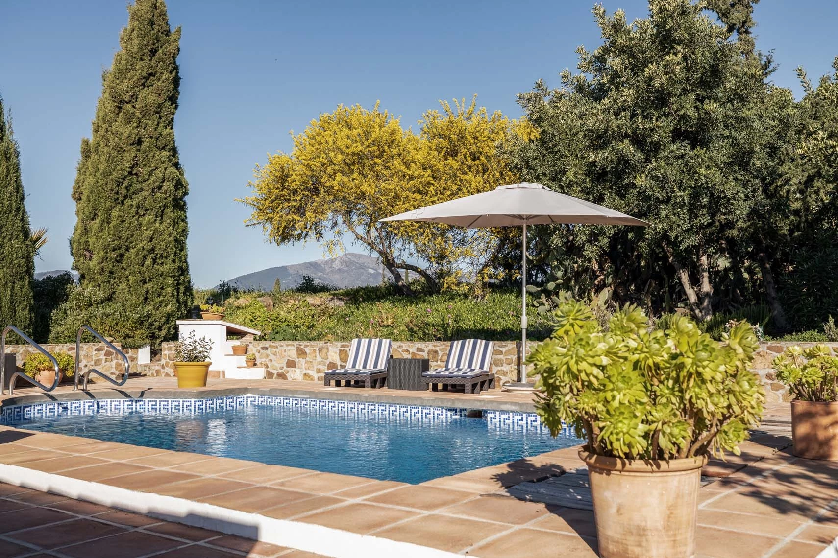 finca para grupos málaga - Rosas Cantares