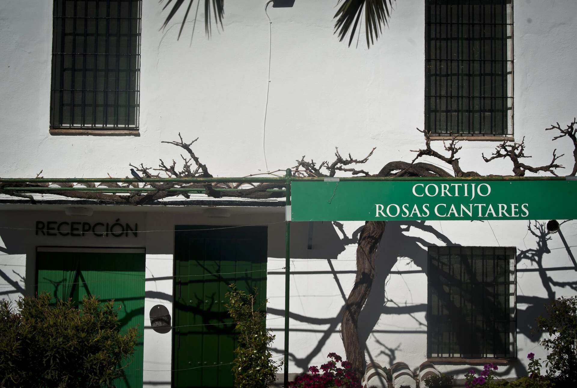 Geschichte Landgut Málaga Familie Rosas Cantares